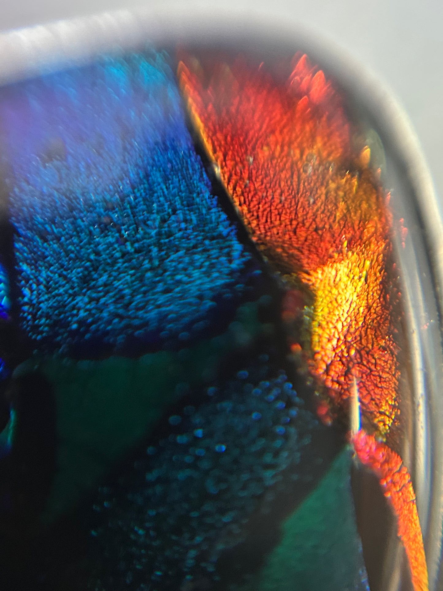 Dramatic dichroic glass cocktail ring
