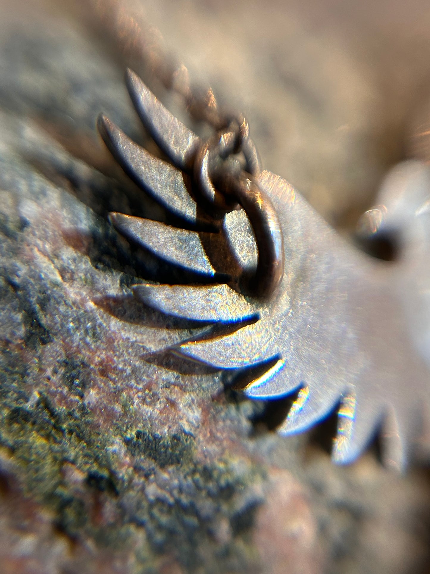 Vintage 1974 Sterling Silver Bird Pendant.