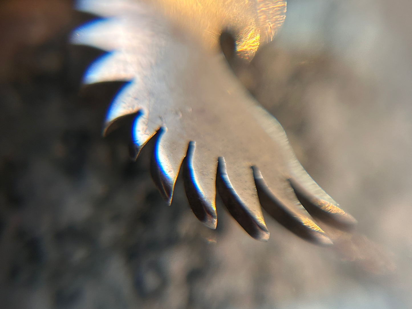 Vintage 1974 Sterling Silver Bird Pendant.