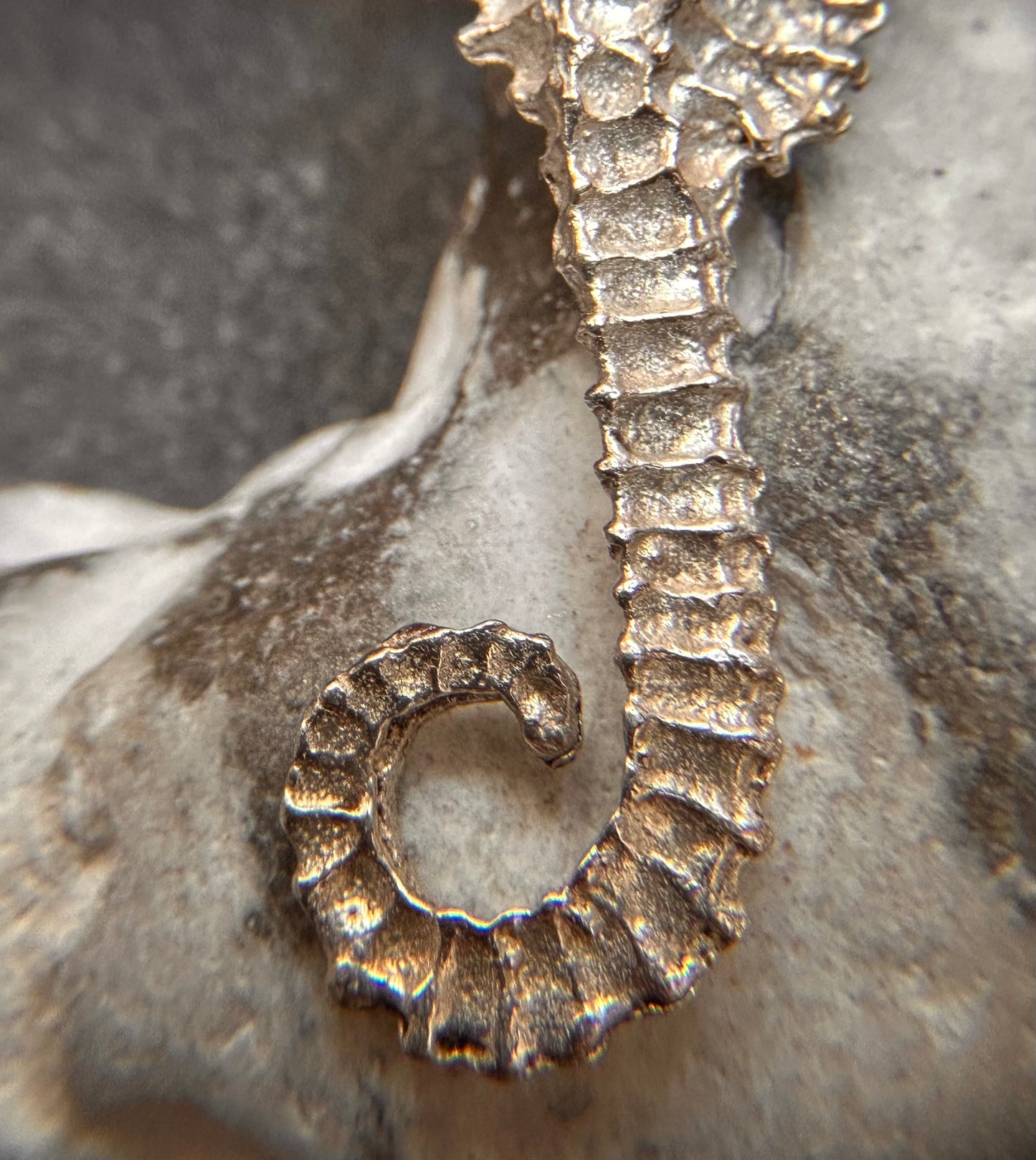 Vintage Artisan Sand-Cast Sterling Silver Seahorse Earrings